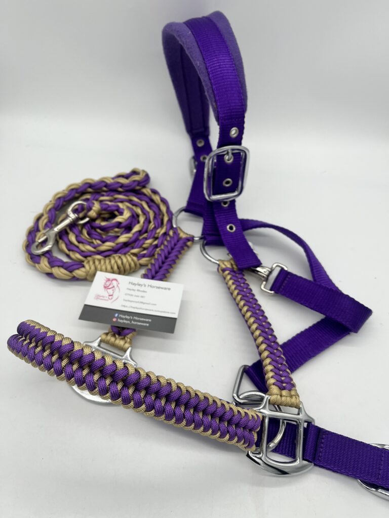 Sanctified weave personalised horse headcollar, handmade in the UK