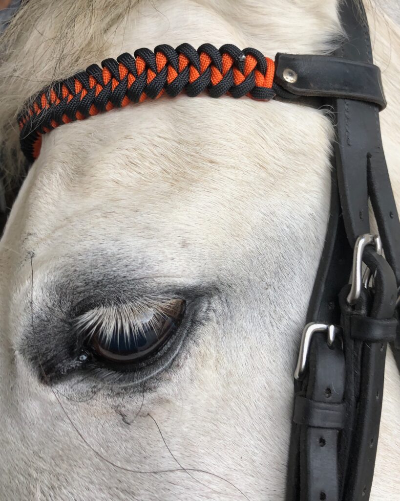 Jagged edge personalised horse browband in custom colours, handmade UK
